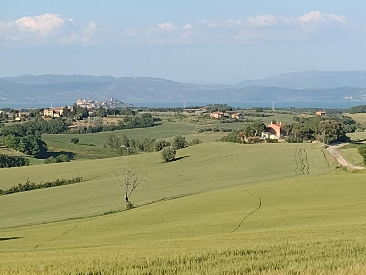 Casa La Selvella Villa Gioiella Exterior photo